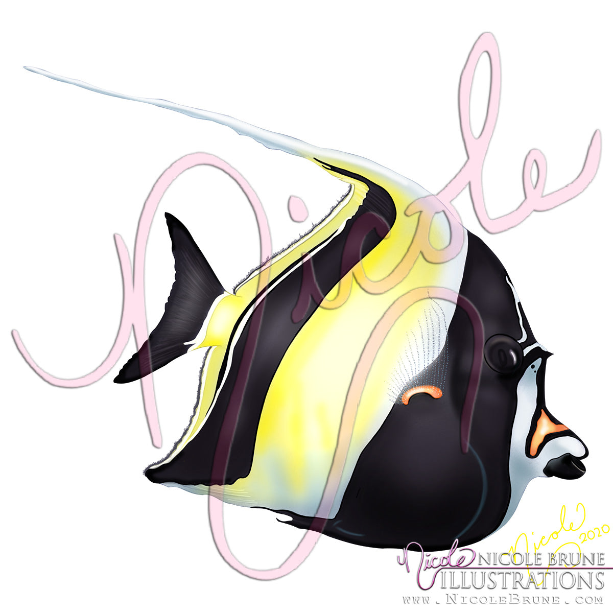 Not for sale, just giving an example of a Moorish Idol fish